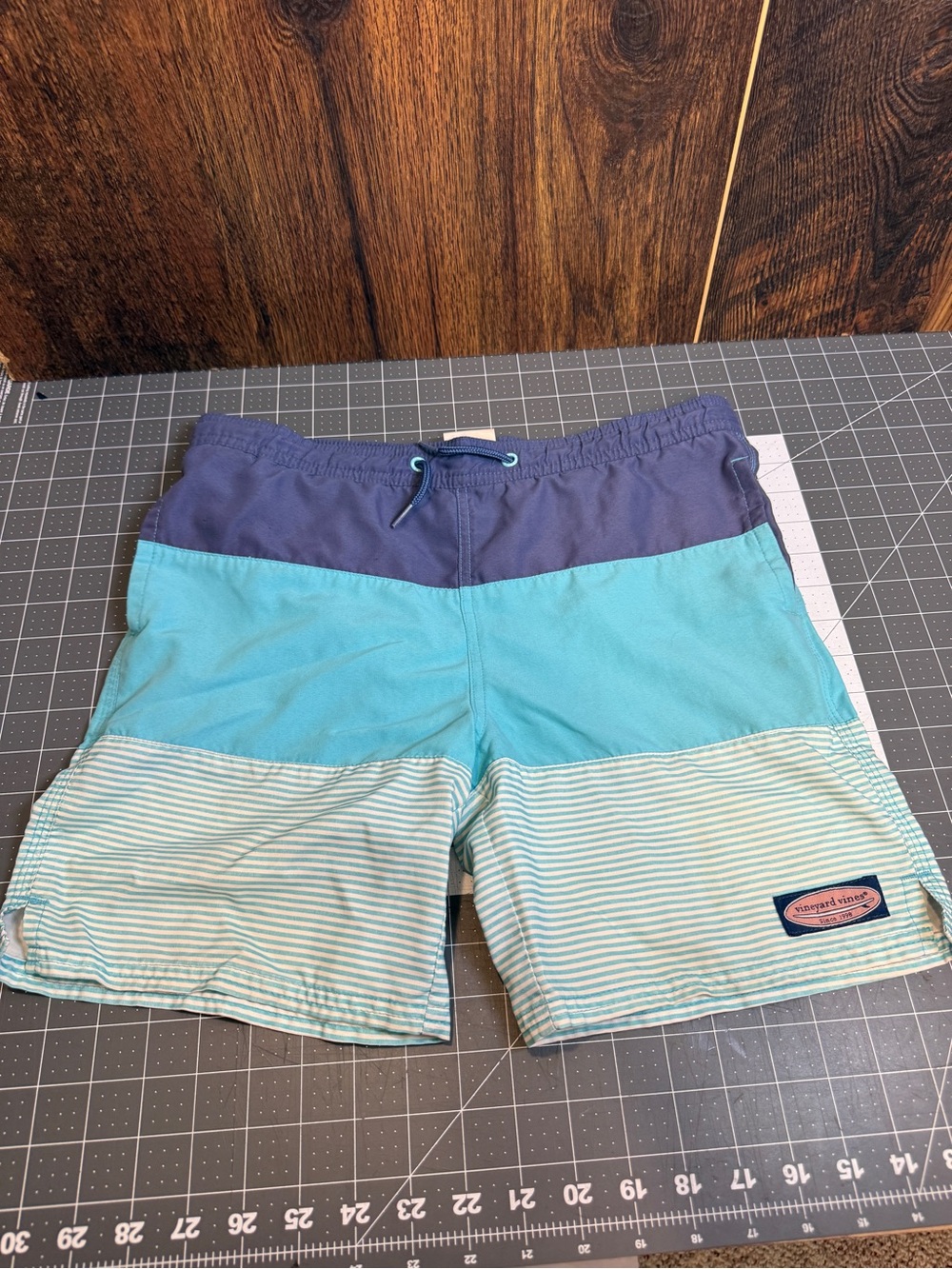 Vineyard Vines Men's Blue Stripe Swim Trunks